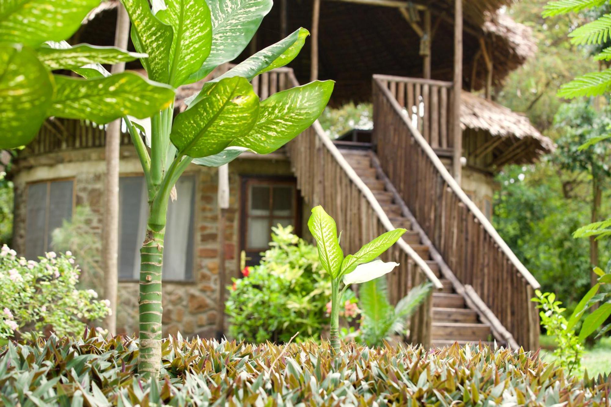 Baker Safari Company Villa Kwangwazi Luaran gambar