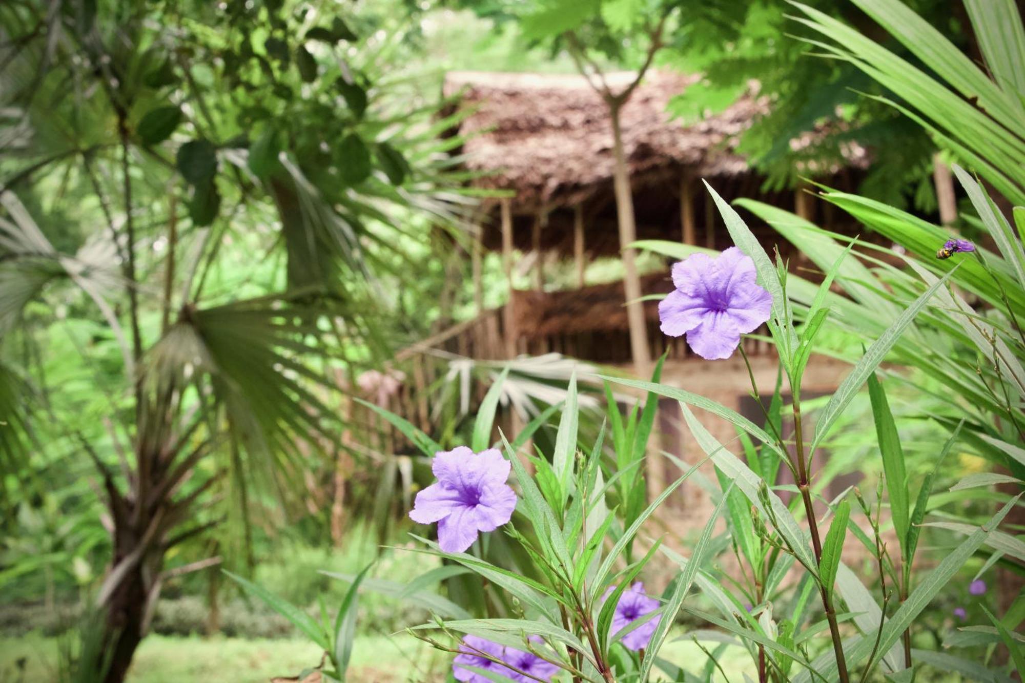 Baker Safari Company Villa Kwangwazi Luaran gambar
